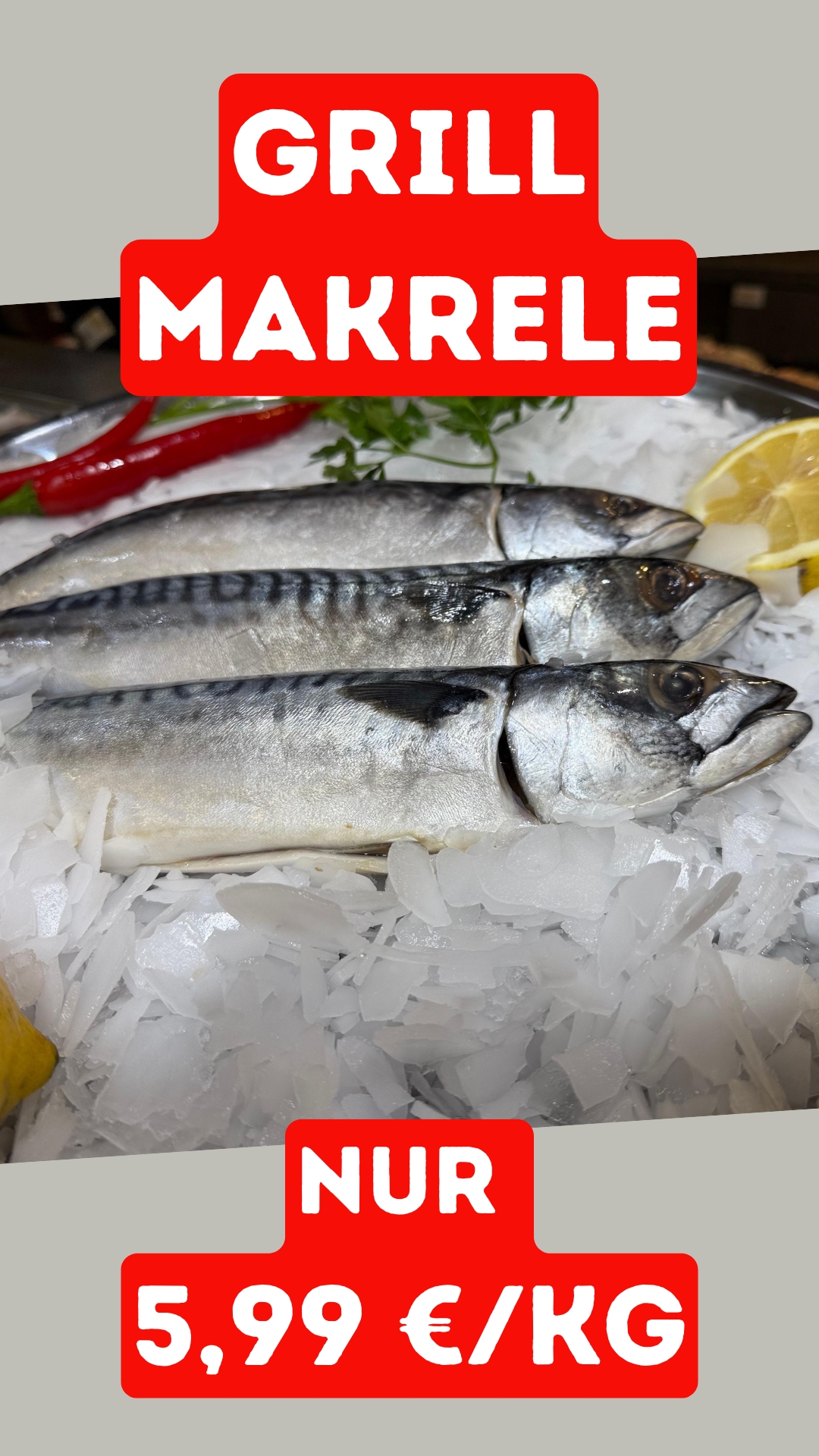 images/Flyer/Wochenangebot%20Fisch%207.jpg#joomlaImage://local-images/Flyer/Wochenangebot Fisch 7.jpg?width=1080&height=1920